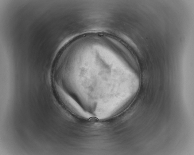 X0000111361412200907311003