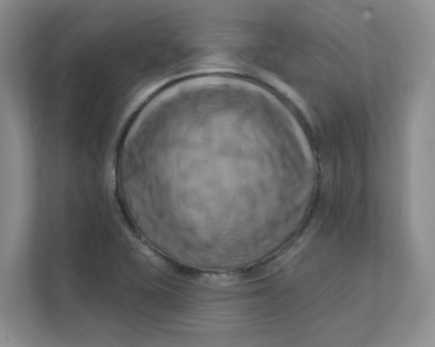 X0000111361415200907311003