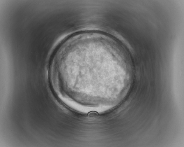 X0000111361416200907311003