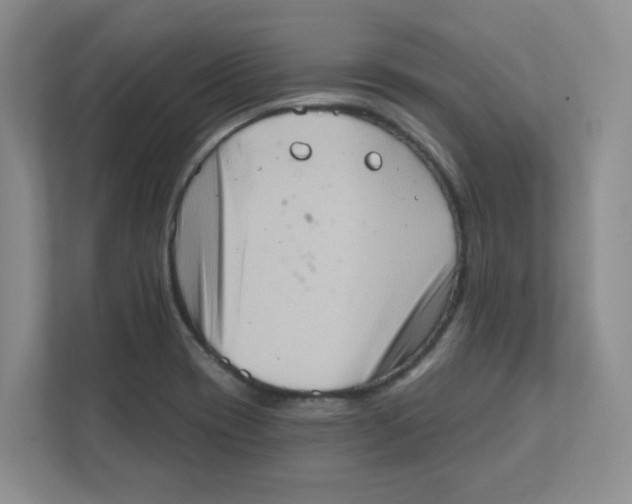 X0000111361417200907311003