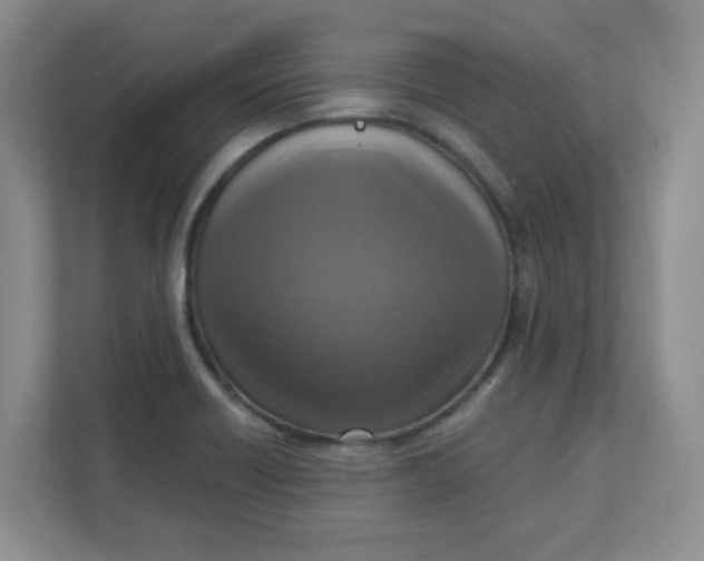 X0000111361418200907311003