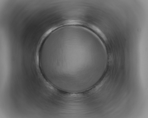 X0000111361419200907311003