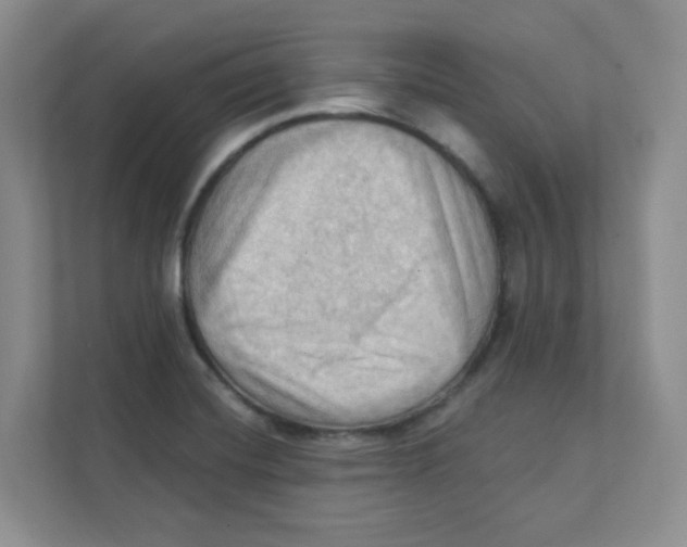 X0000111361420200907311003