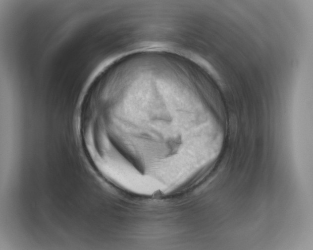X0000111361424200907311003