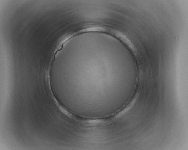 X0000111361425200907311003