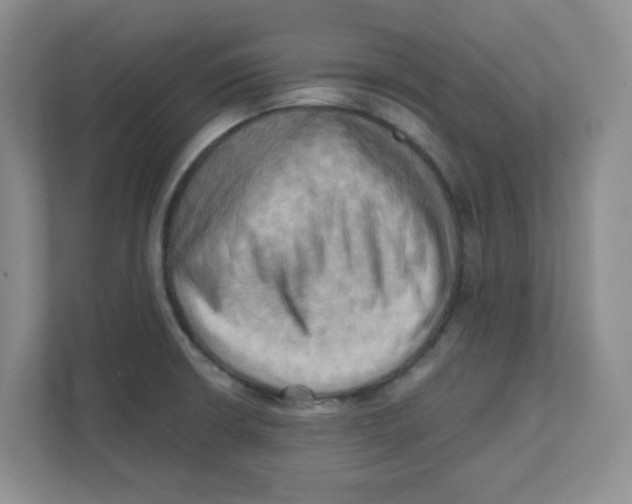 X0000111361426200907311003