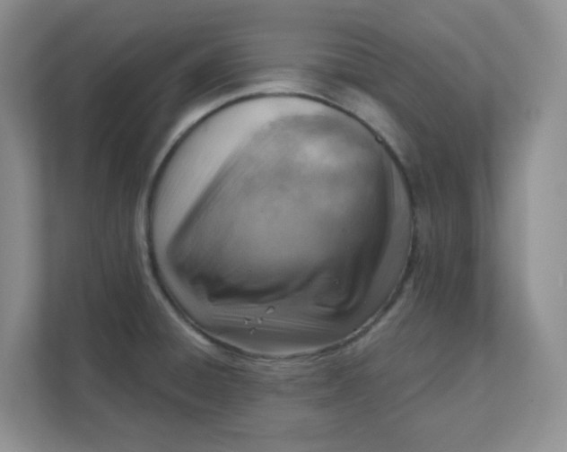X0000111361428200907311003