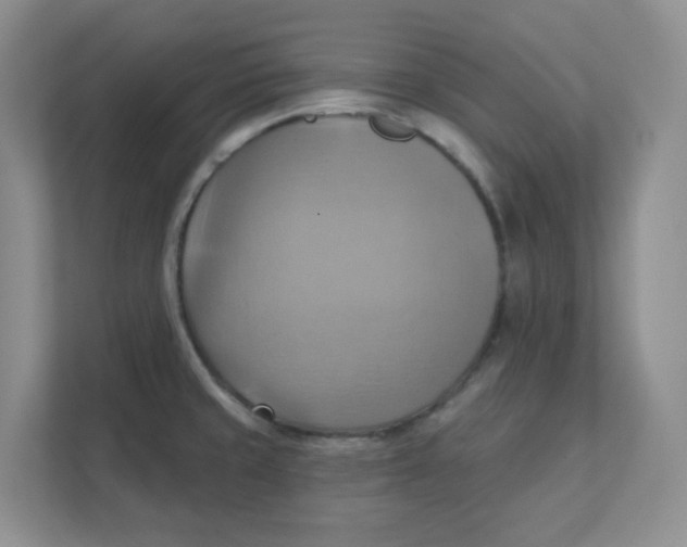 X0000111361429200907311003