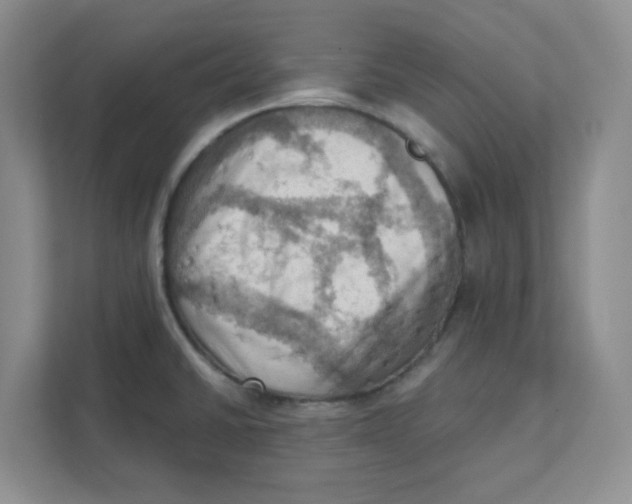 X0000111361430200907311003