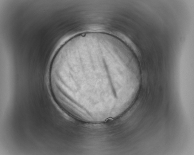 X0000111361432200907311003