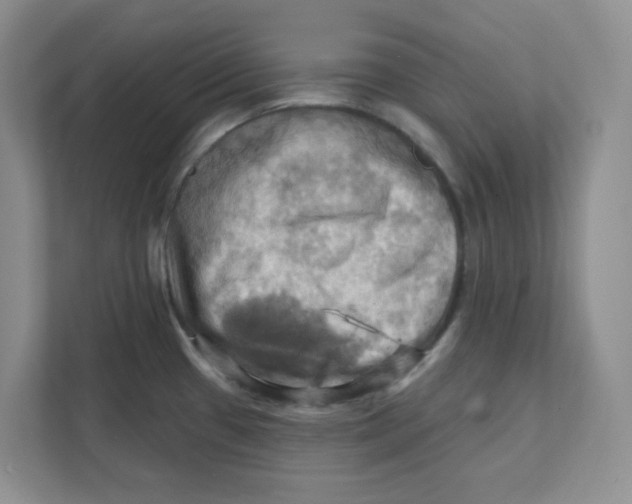 X0000111361433200907311003