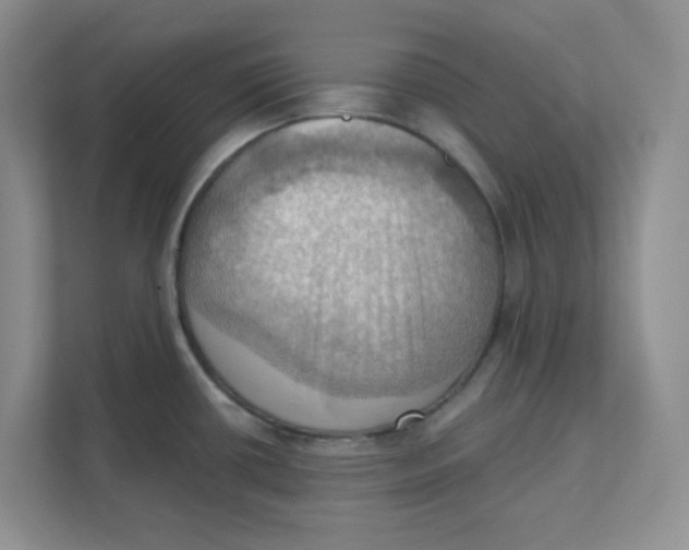 X0000111361434200907311003