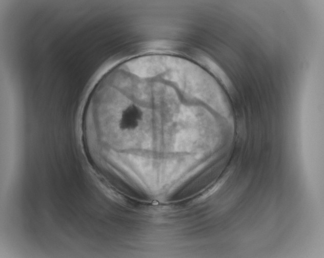 X0000111361435200907311003