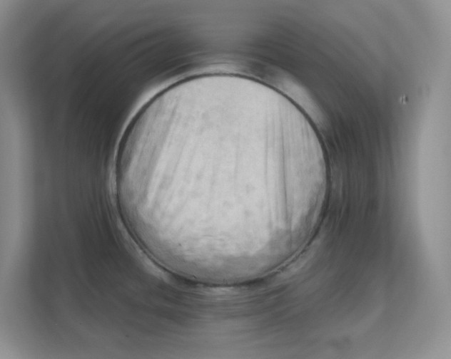 X0000111361436200907311003