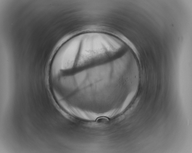 X0000111361437200907311003