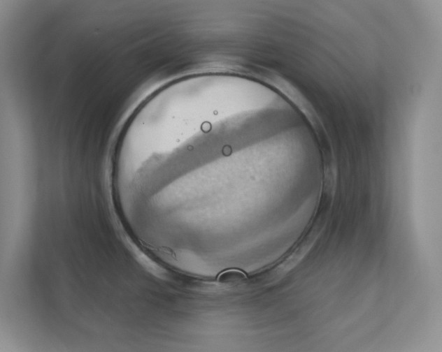 X0000111361438200907311003