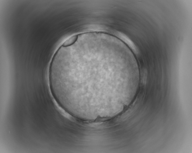 X0000111361439200907311003