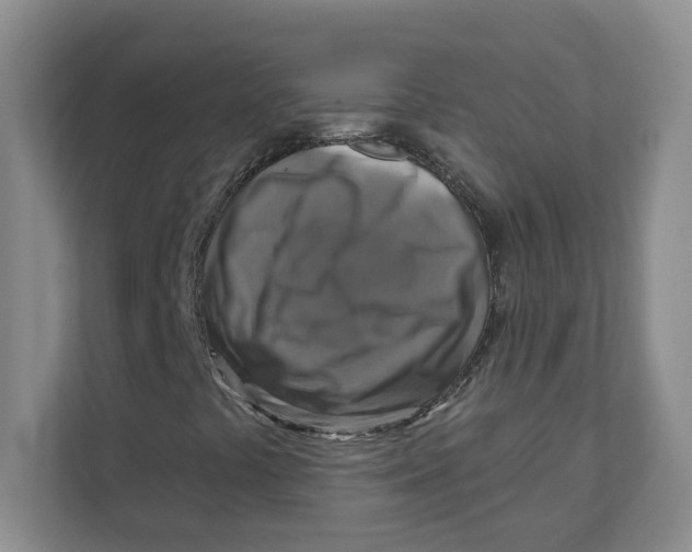 X0000111361441200907311003