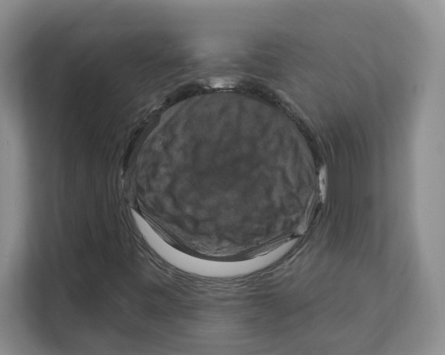 X0000111361443200907311003