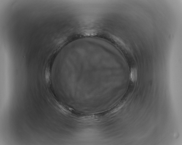 X0000111361444200907311003