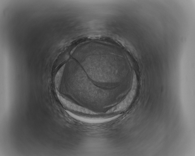 X0000111361445200907311003