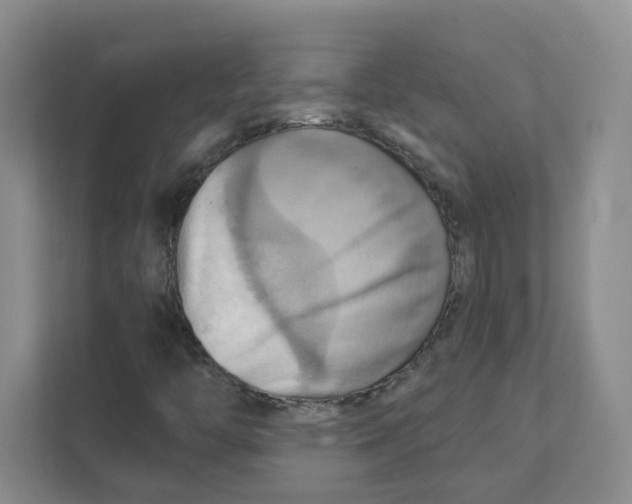 X0000111361446200907311003
