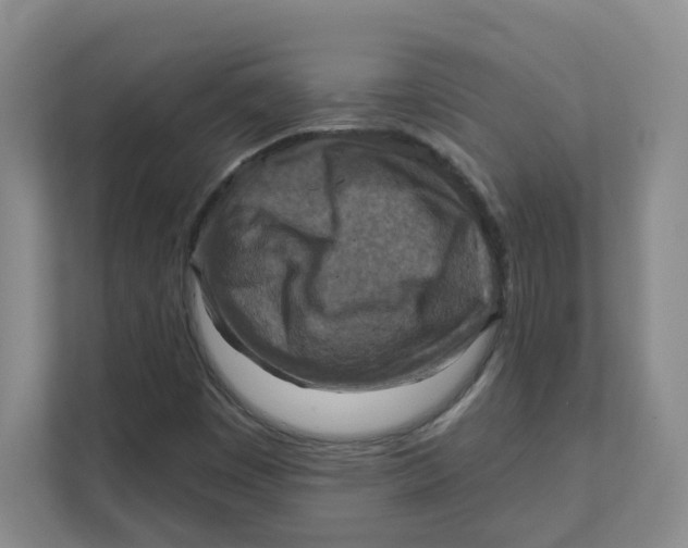 X0000111361449200907311003