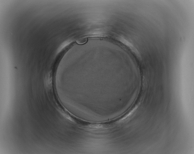 X0000111361450200907311003