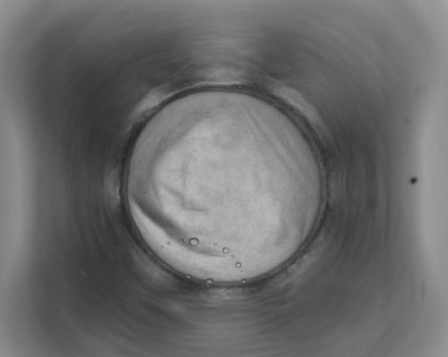 X0000111361451200907311003