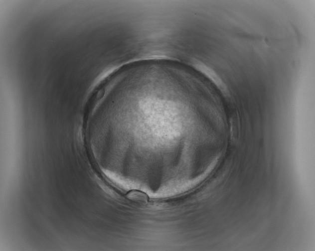 X0000111361452200907311003