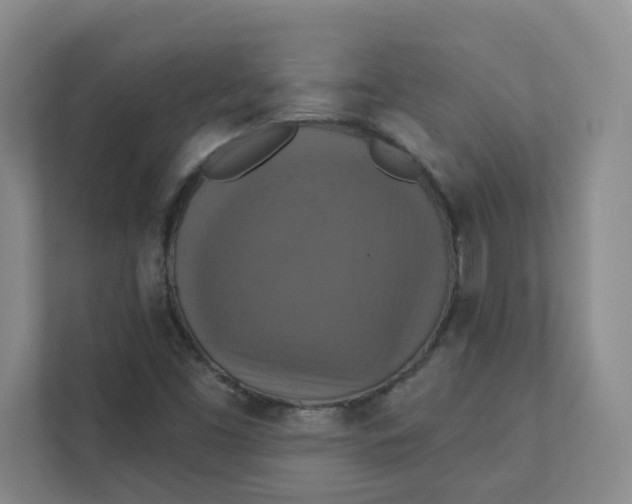 X0000111361453200907311003