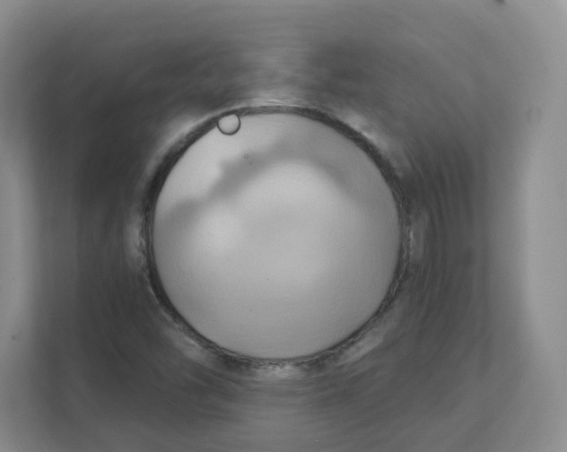 X0000111361454200907311003