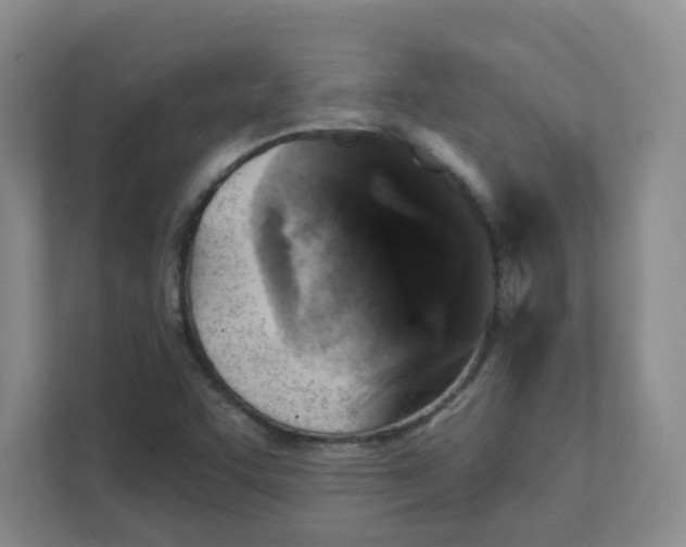 X0000111361455200907311003