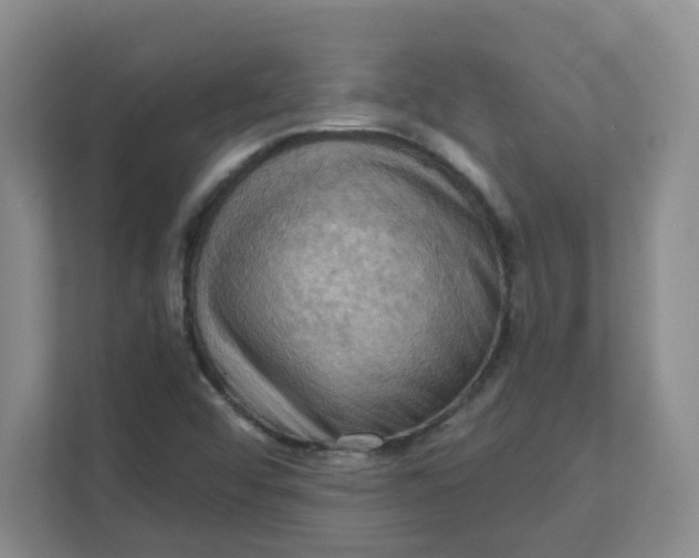 X0000111361456200907311003