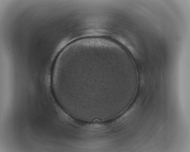 X0000111361459200907311003