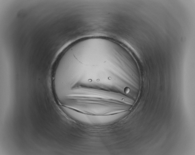 X0000111361460200907311003