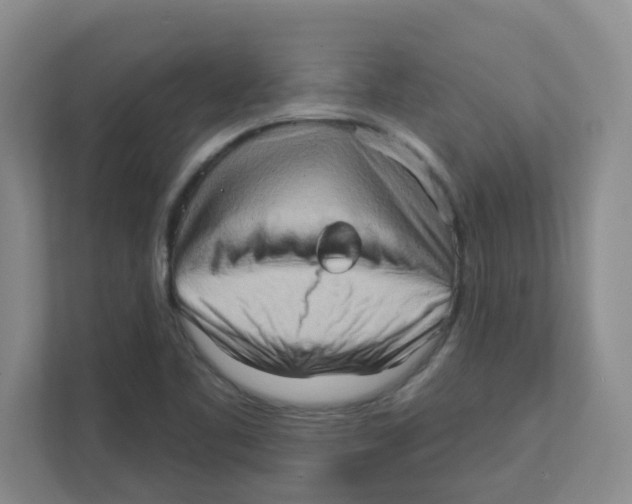 X0000111361461200907311003