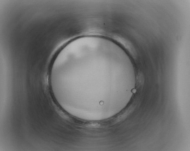 X0000111361462200907311003
