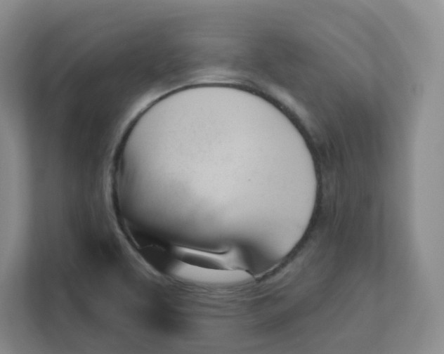X0000111361463200907311003