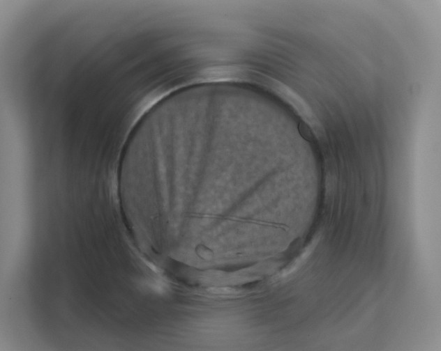 X0000111361465200907311002