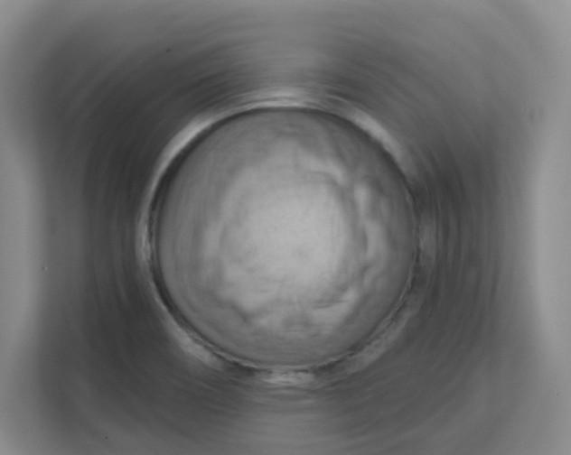 X0000111361466200907311002