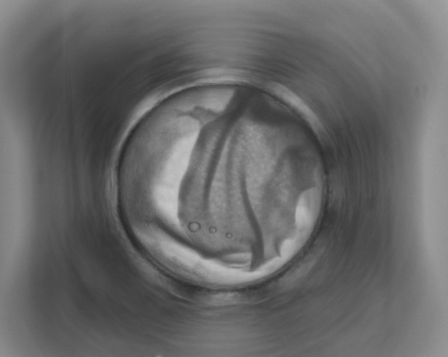 X0000111361467200907311002