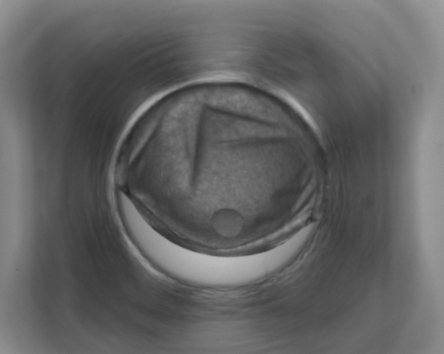 X0000111361468200907311002