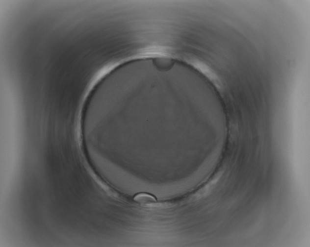 X0000111361469200907311002