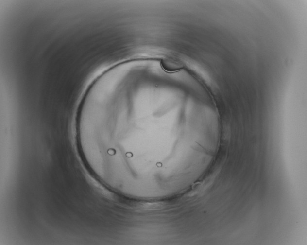 X0000111361471200907311002