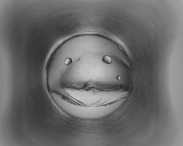 X0000111361472200907311002