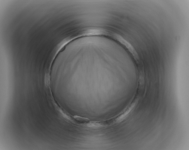 X0000111361473200907311002