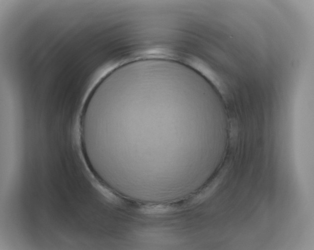 X0000111361474200907311002