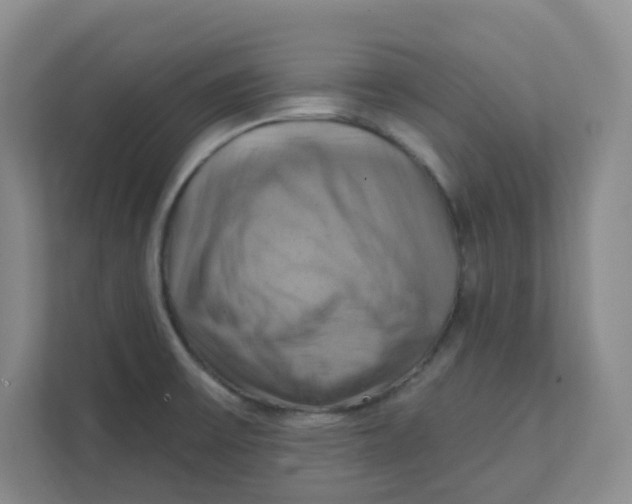 X0000111361475200907311002