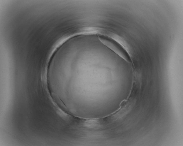 X0000111361477200907311002